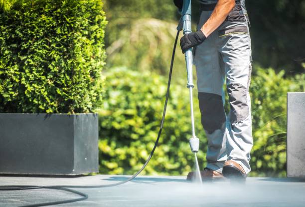 Best Roof Cleaning and Mildew Removal in Tellico Plains, TN